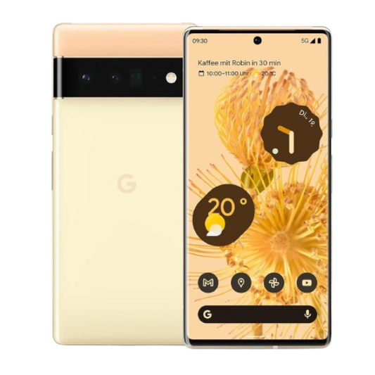 Google Pixel 6 Pro